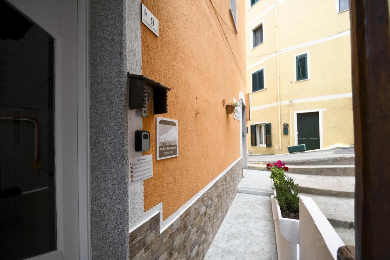 B&B La Pianedda Castelsardo Dış mekan fotoğraf